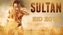 Sultan Movie Review - Vizag