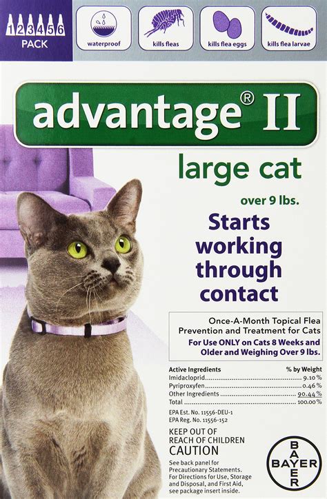 Your vet will likely recommend an antifungal medication such as. Advantage Cat Flea Treatment - Cat and Dog Lovers