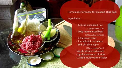 Azestfor's homemade dog food recipes are delicious and scientifically formulated to be nutritionally balanced meals for your dog. How to cook for your dog: Basic food recipe - Emporium Vet ...
