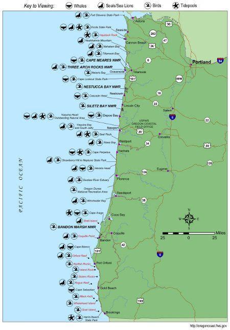 Oregon Coast Wildlife Map Whale Watching Locations Tons Of Info And