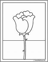 Rose Coloring Pages Single Printable Tall Kids sketch template