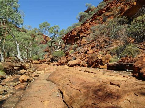 Watarrka National Park Nt Best Kings Canyon Walks Inc Rim Walk