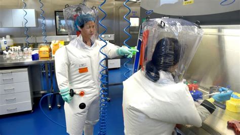 Laboratory Viruses Pose ‘existential Threat Warns Bioweapons Expert