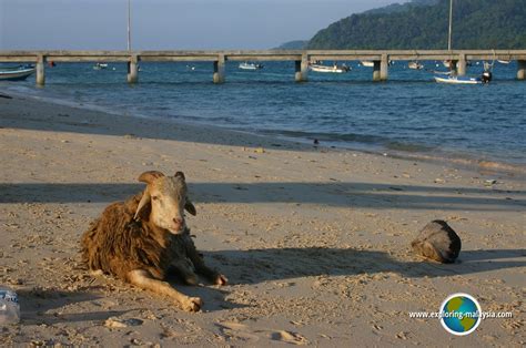 Book bubu long beach resort, pulau perhentian kecil on tripadvisor: Pulau Perhentian Kecil, Terengganu, Malaysia