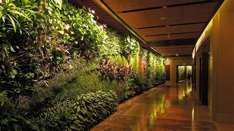 Vertical Garden A Solution To Mounting Air Pollution