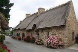 Cottage (orne), Brittany, France, 2011 | Bretagna, Case, Uccellini