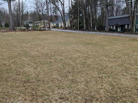 My Lawn Pretty Much Died Over The Winter Now With Soil Test Results
