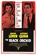 Orquídea negra (1958) - FilmAffinity
