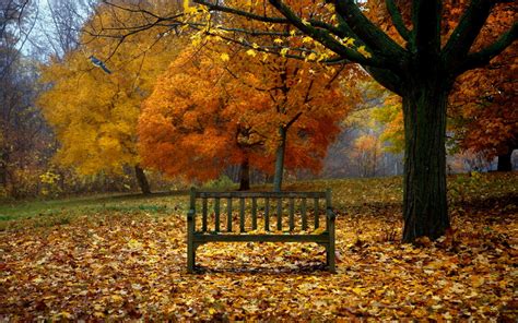 Fall Scenes Wallpaper And Screensavers 58 Images