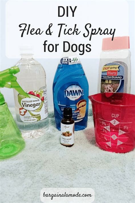 Diy Flea And Tick Shampoo For Dogs Qdiyl