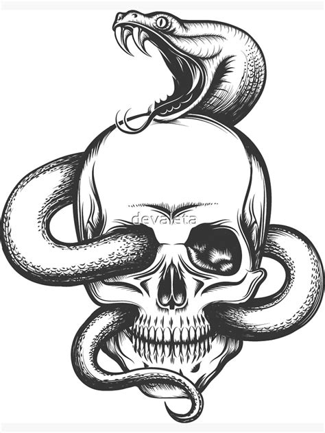 Snake And Skull Engraving Illustration Art Print For Sale By Devaleta