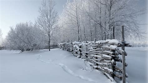 Winter Fence Wallpapers Top Free Winter Fence
