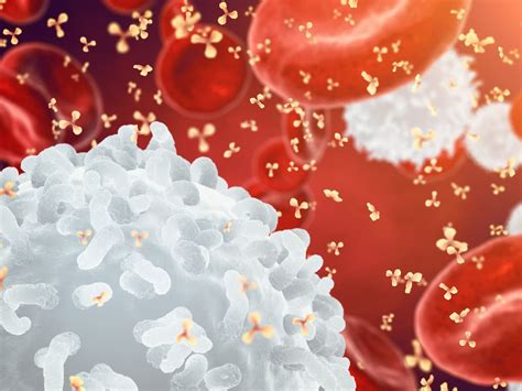 Glofitamab Shows Durable Crs For Heavily Pretreated Large B Cell Lymphoma