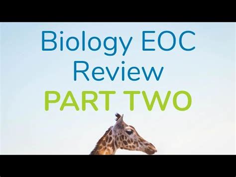 Anaerobic respiration does not require. Biology EOC Review - Part 2 - YouTube