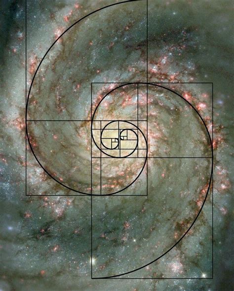 Fibonacci And The Cosmos Geometría Sagrada Arte De La Geometría