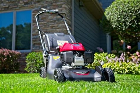 The Best Gas Lawn Mowers Of 2021 Gardening Daily