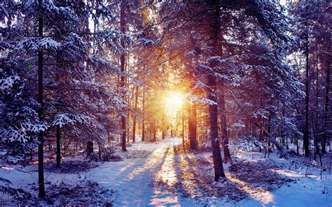 Beautiful Winter Wallpapers 60 Images