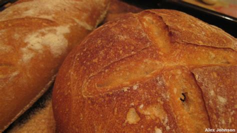 Los 7 Tipos De Pan Que Comemos Los Venezolanos Bienmesabe