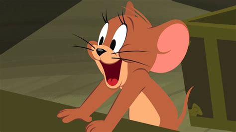 Jerry Mouse Disneyandsanrio360 Wikia Fandom