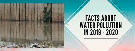 11 Facts About Water Pollution In 2019 2020 Statistics