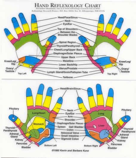 Reflexology Massage Techniques Lots Of Charts Hand Reflexology Reflexology Reflexology Massage