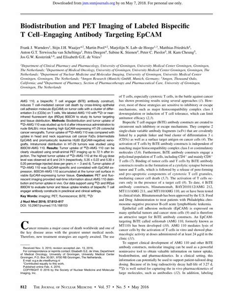 Pdf Biodistribution And Pet Imaging Of Labeled Bispeciﬁc T Jnm