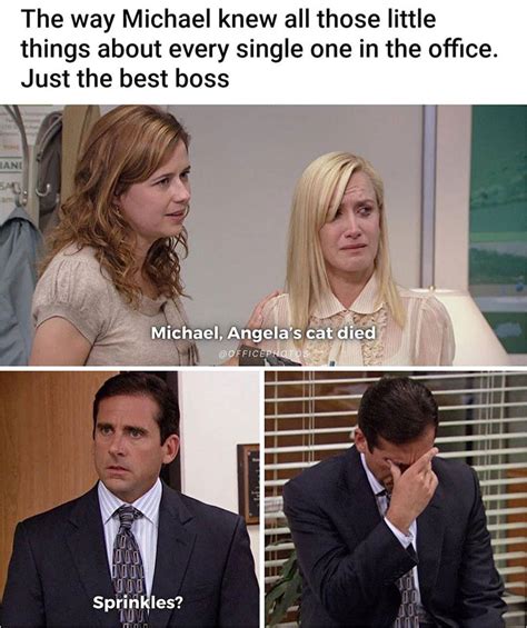 Folks Are Cracking Up At These 40 The Office Memes As Seen On The