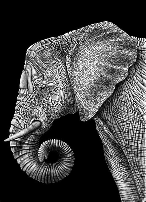 Une image d'une tête de taureau animal du zodiaque. Pin on Elephant