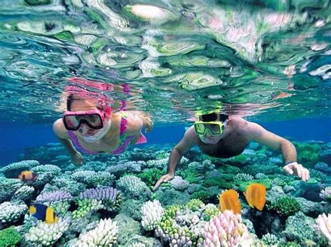 Snorkeling Tour And Sosua Beach Day Gillary Tours