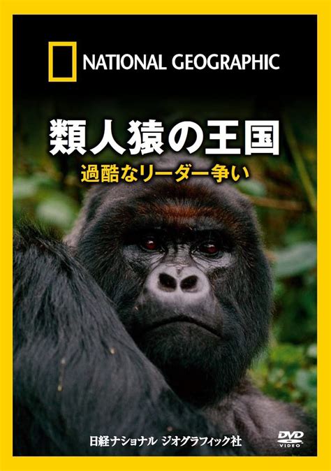 Jp ナショナル ジオグラフィック 類人猿の王国 過酷なリーダー争い Dvd Dvd・ブルーレイ