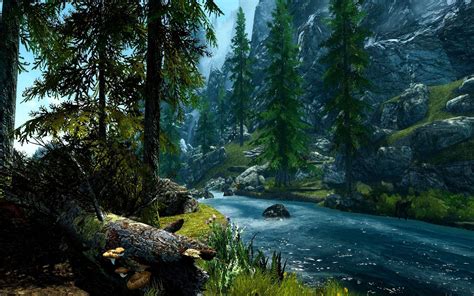 Forest River Wallpapers Top Free Forest River Backgrounds