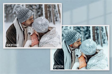 Snowflake Lightroom Mobile Presets Photoshop Actions Luts Filtergrade