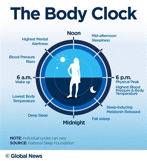 Sleep Phases Body Clock Sleep Medicine National Sleep Foundation