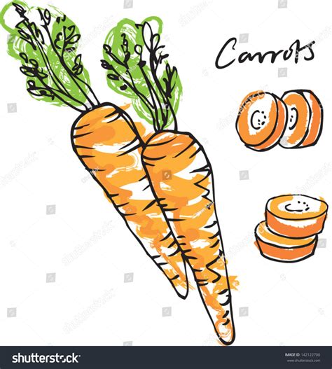 Fresh Carrots Whole Sliced And Carrot Sticks Vector Illustration
