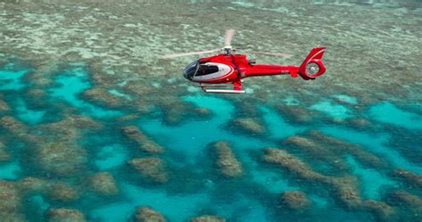 Great Barrier Reef Day Tour And Scenic Flight Mad Monkey