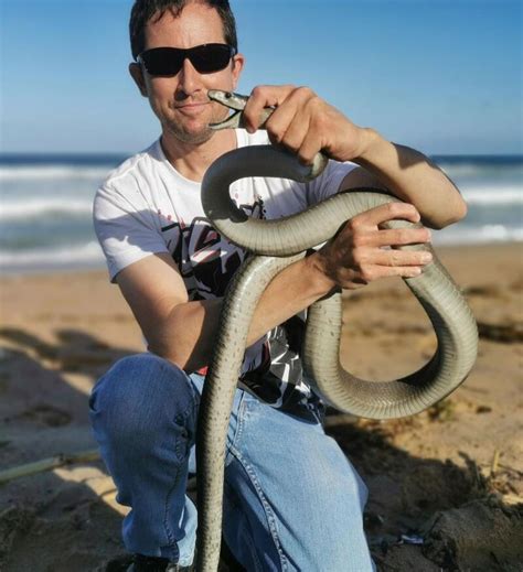 Black Mamba Rescued On Durban Beach Dfa