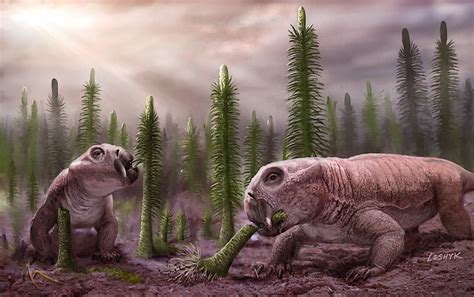 How The Permian Triassic Extinction Event Affected Land Based Animals