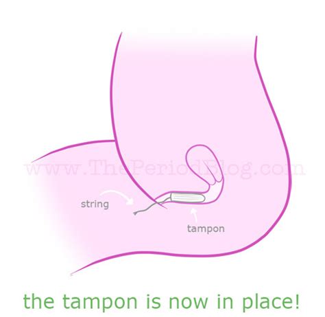 Insert a tampon in 4 easy steps. What Hole Does The Tampon Go In Diagram