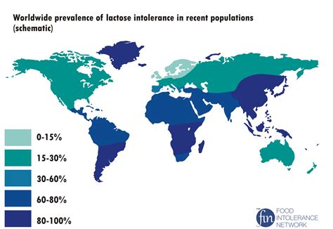 Mapa De Intolerancia A La Lactosa ¿cuántos Intolerantes Hay En El Mundo