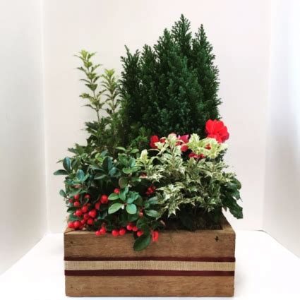 How to make a diy raised planter box: Evergreen Box planter in Northport, NY - Hengstenberg's ...