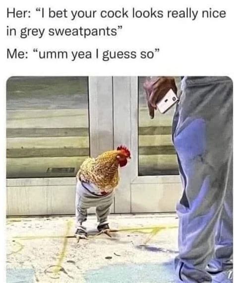 30 Funny Grey Sweatpants Meme Memes Feel