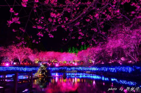Japan Japan Places To Visit Coldplay Wallpaper Flower Garden Images