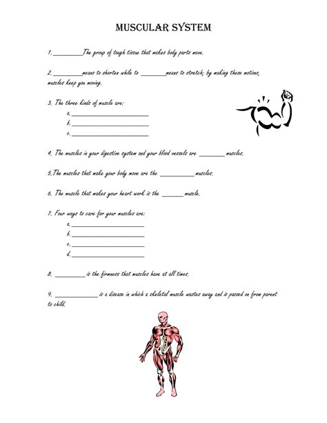 Muscle Systems Worksheet Grade 3
