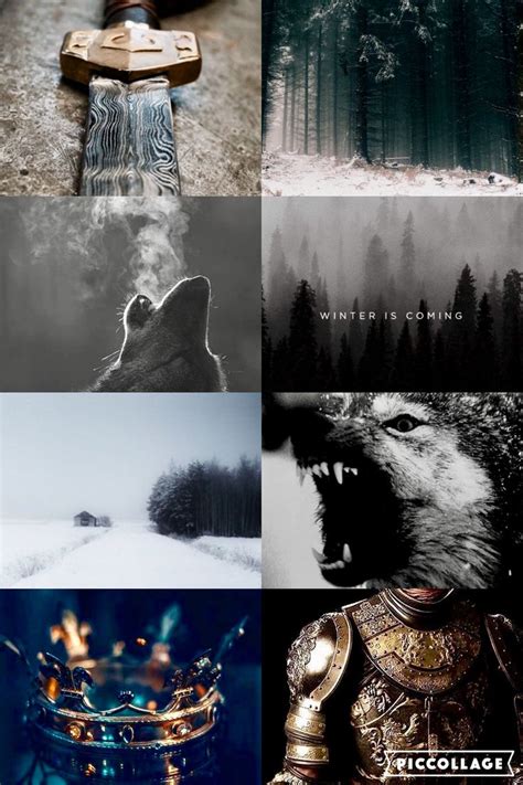 Stark Game Of Thrones Celestial Game Of Thrones Aesthetic