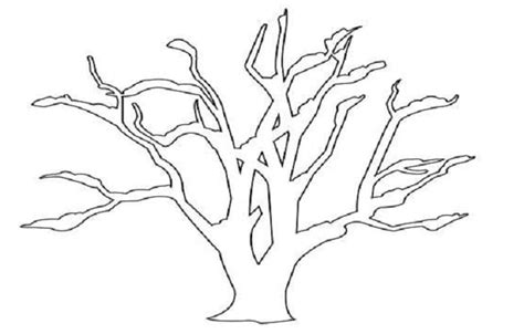 12 Contoh Sketsa Pohon Simple Dan Mudah Broonet