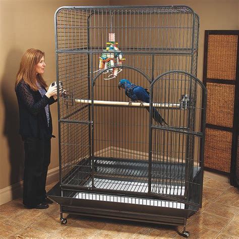 Best 5 Prevue Bird Cages Review For Your Fluffy Parrot In 2021 Pet