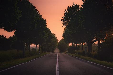 Gray Concrete Roadway Between Green Trees Hd Wallpaper Peakpx