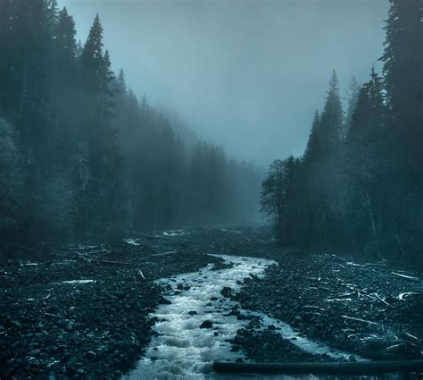 Breathtaking Moody And Mysterious Forest Photography By Dylan Furst