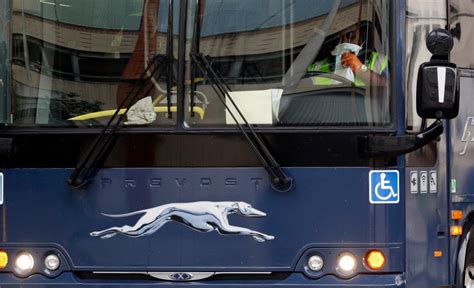 Greyhound Looking To Hire 200 Drivers Open Positions In Sacramento