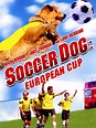 Soccer Dog: European Cup (2004) - Rotten Tomatoes